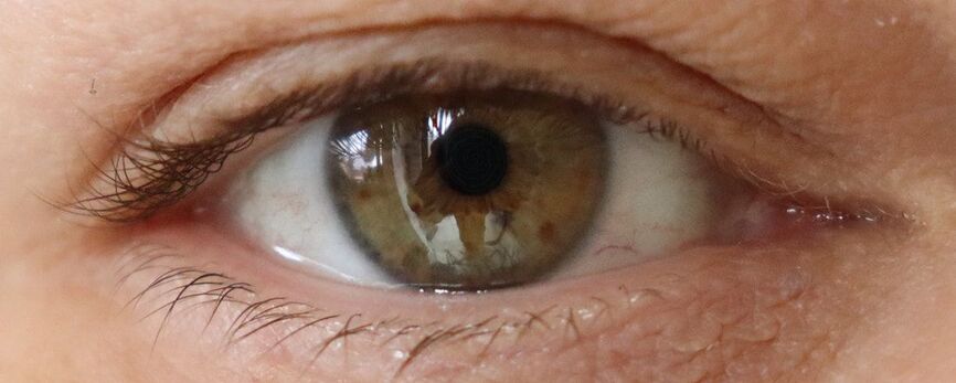 Picture a large image of one eye. Green adn brown in colour with lasshes around the eye in focus. The eyes has reflections within its centre.